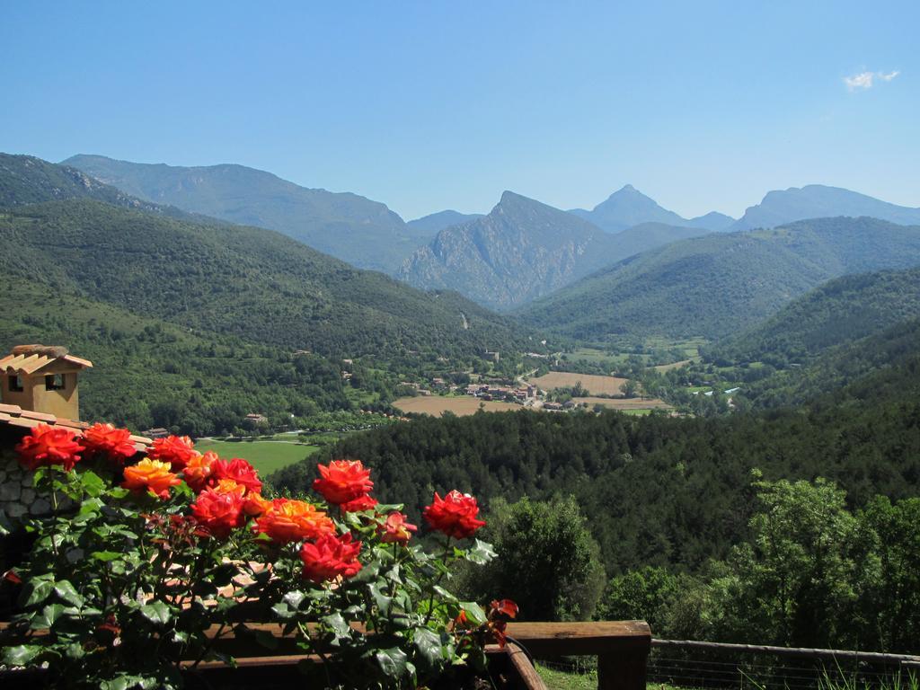 Farm stay Mas Pineda *